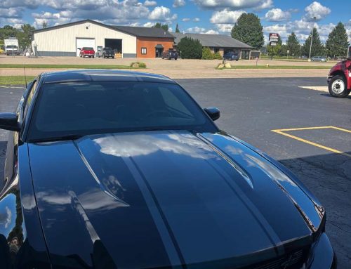 Custom Graphics – Mustang